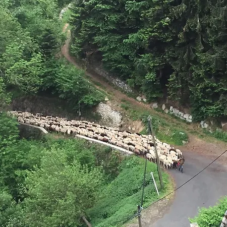 Apartman La Maison D'ilhan *