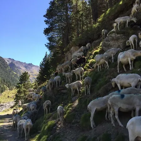 La Maison D'ilhan Apartman *