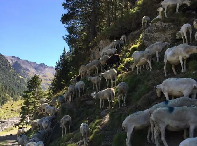 La Maison D'ilhan 公寓 *